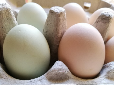 Jajka - im jaśniejsze, tym lepiej widoczny wzór